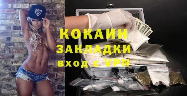 шишки Пересвет