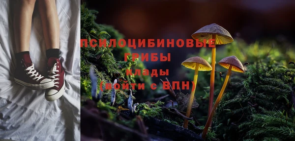 первитин Абаза