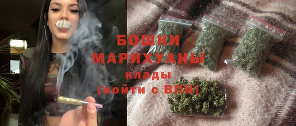 шишки Пересвет