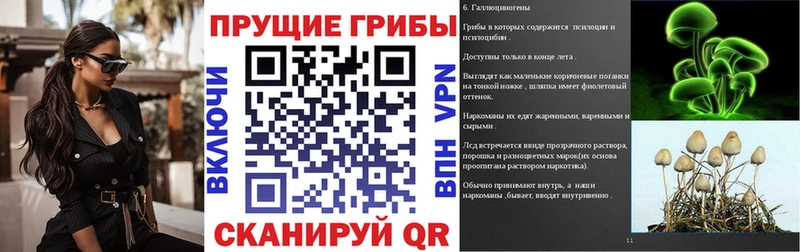 Псилоцибиновые грибы мицелий MEGA ссылки Калининград
