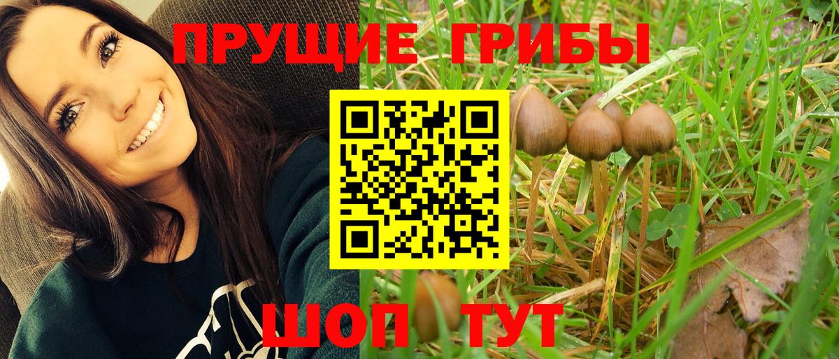 Псилоцибиновые грибы MAGIC MUSHROOMS Калининград