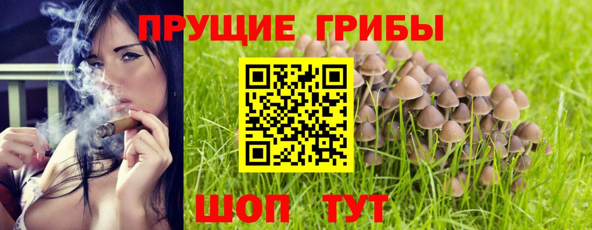 Псилоцибиновые грибы GOLDEN TEACHER  Вход с VPN  Калининград 